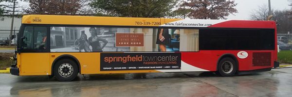 Window Wrap - Springfield Center