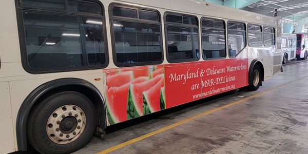 Watermelons Advertising Bus