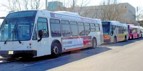 Three Advertising Bus Lining Up