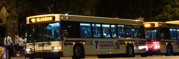 Night King Bus Ad